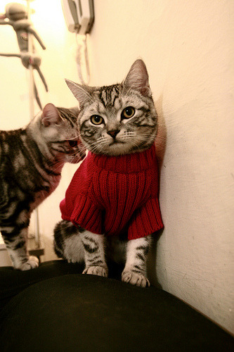 铁幕降临,当欧冠决赛的防守哲学封锁了广东队的洪流