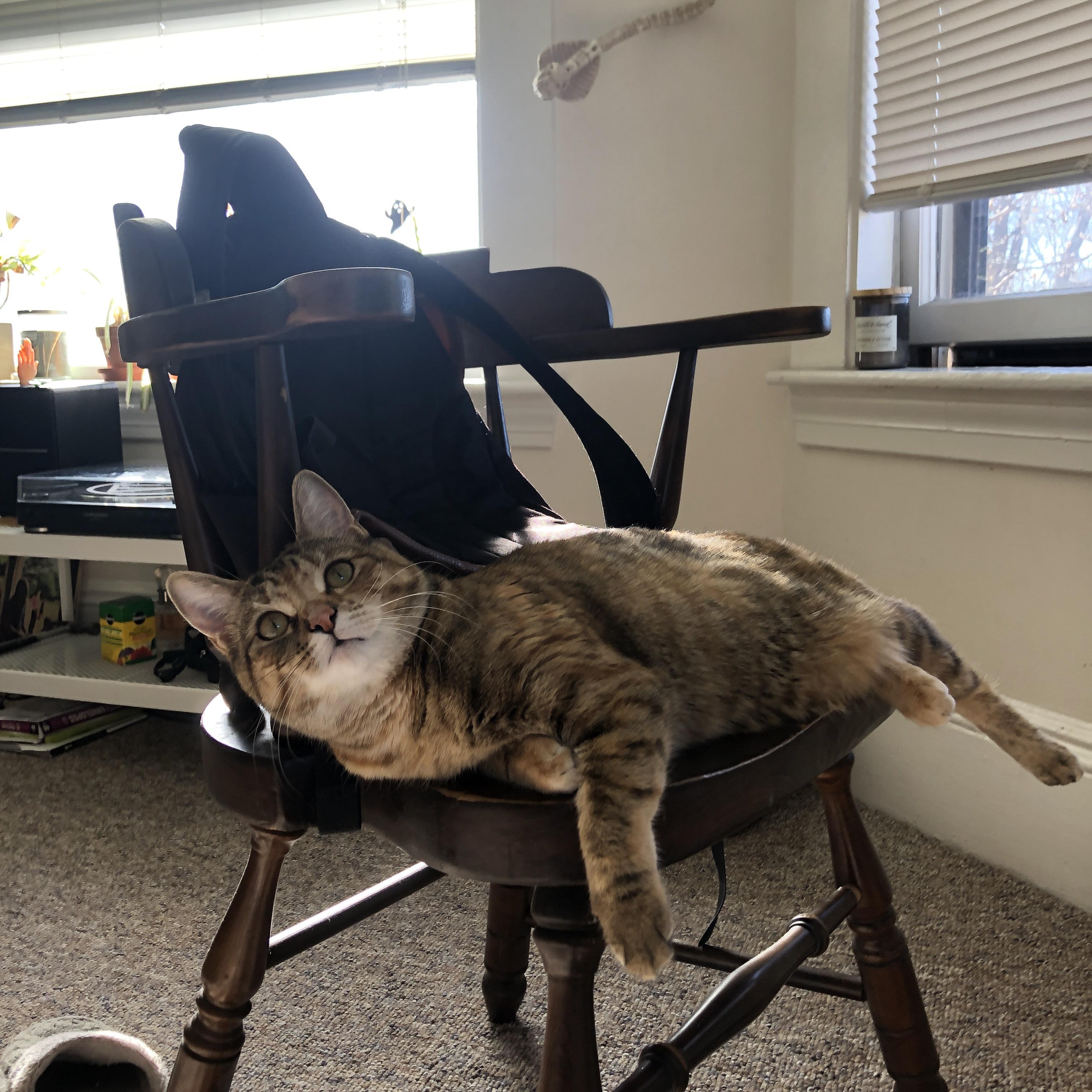 塞维利亚的灼热高原与旧都烈焰，当穆勒成为唯一破局的关键先生