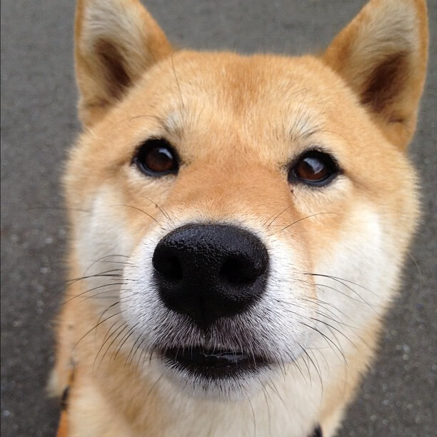 夜未央,当切特的双拳击碎时间,整个北美在尖叫中醒来