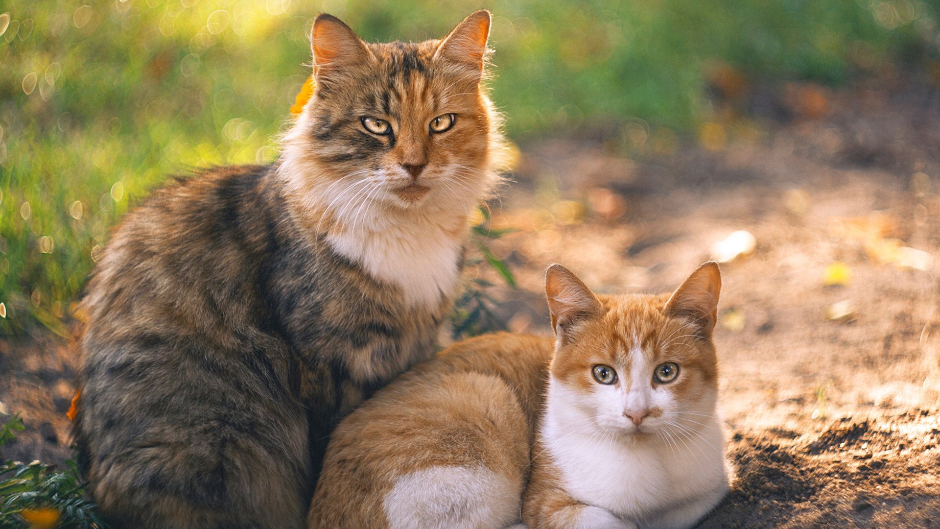 火箭升空，火热势不可挡，当团队协作遇上极致天赋