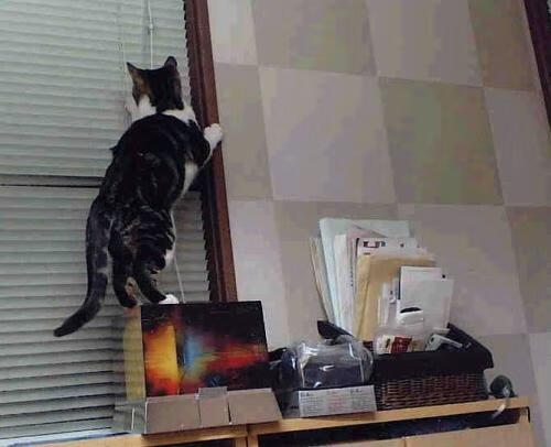 战术罗盘与民族心跳,当曼城遇见波斯,谁的节奏定义足球?