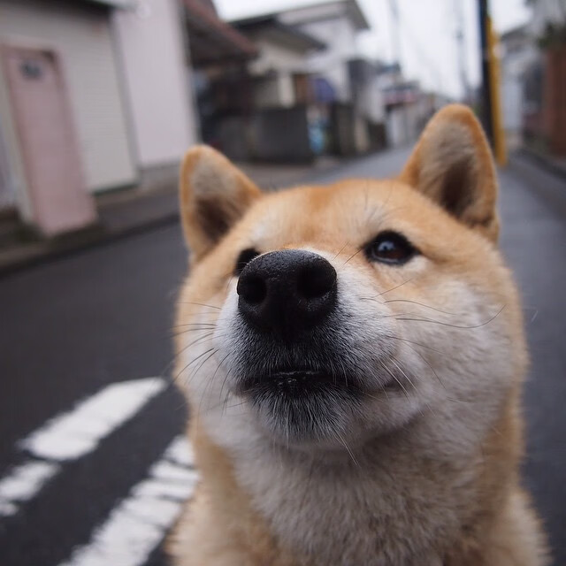 唯一性思考，当贾凯塔诺·贾凯里尼在2026世界杯淘汰赛上演人生唯一一次帽子戏法—记尤文击败挪威的幕后神迹