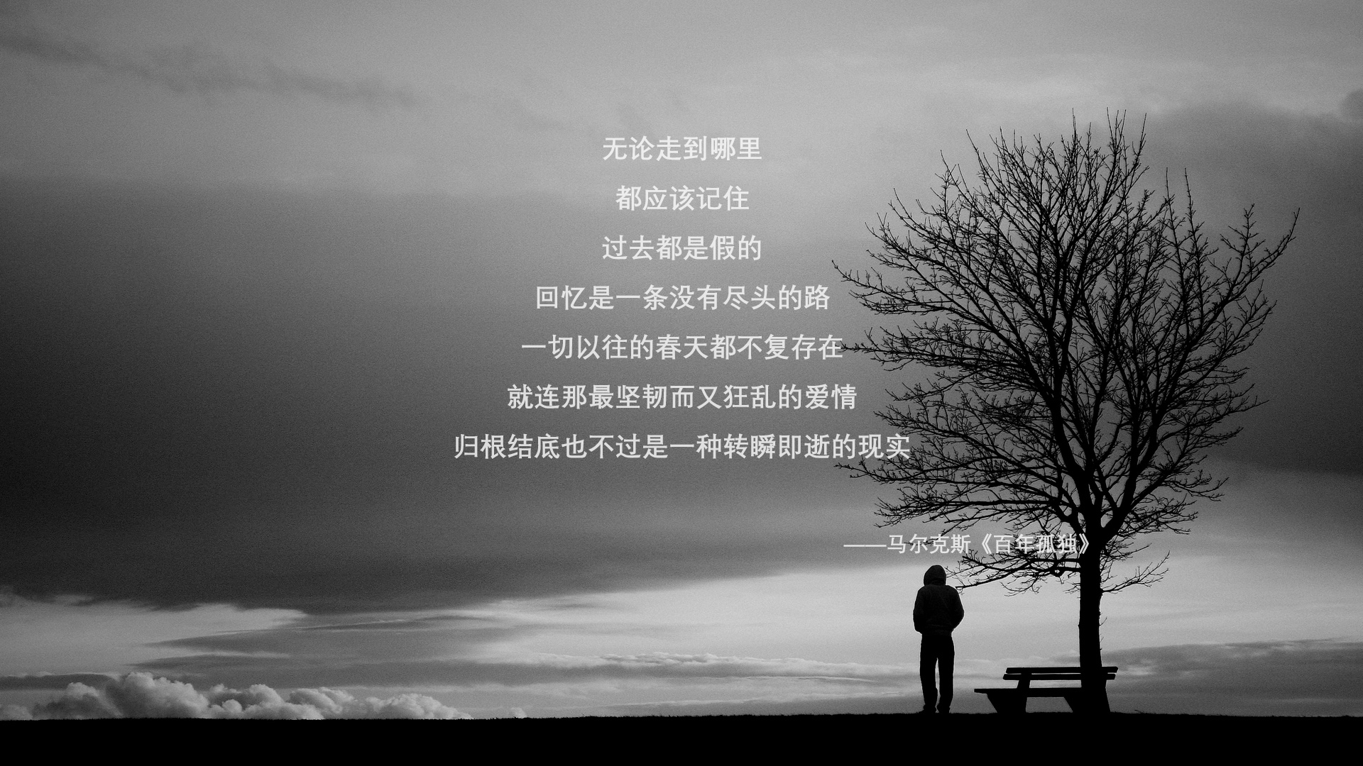 双城记，曼城终结国米欧冠梦，本泽马伯纳乌加冕无争议