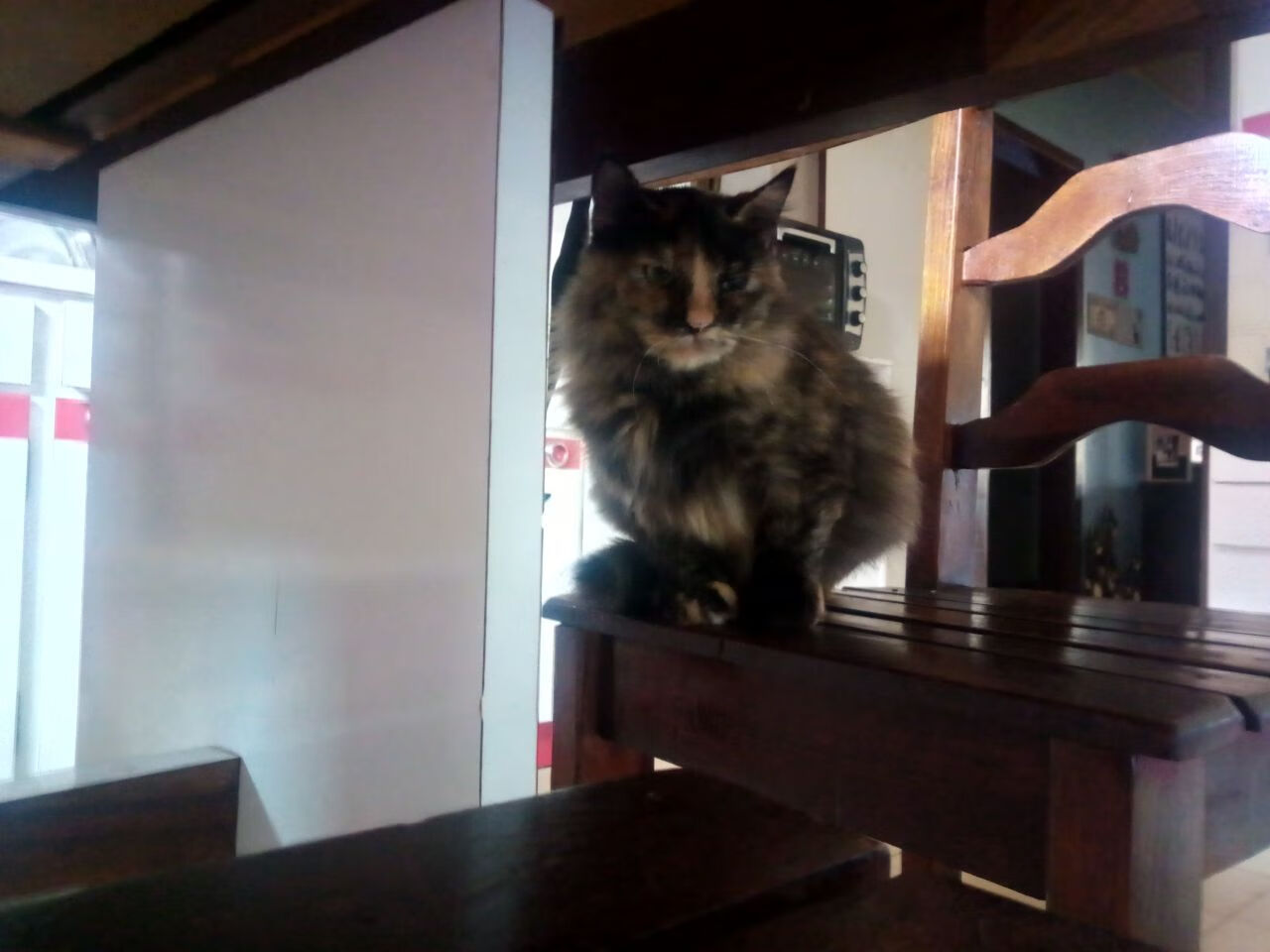 一节神威与另类铁卫,德里赫特的唯一钥匙,解锁马竞式胜利