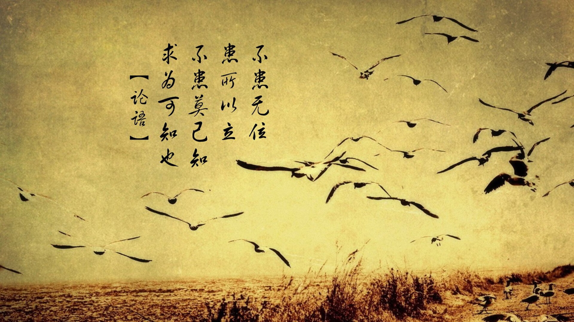 跨界征服者，当足球铁腰握住F1方向盘—记厄瓜多尔的荣耀与法比尼奥的赛道统治