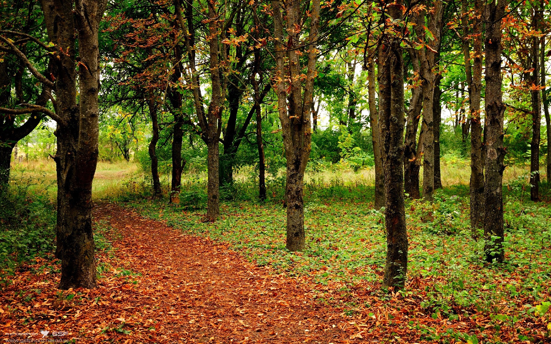 绿茵剧场，魔术上演惊天冷门，快船战舰意外搁浅