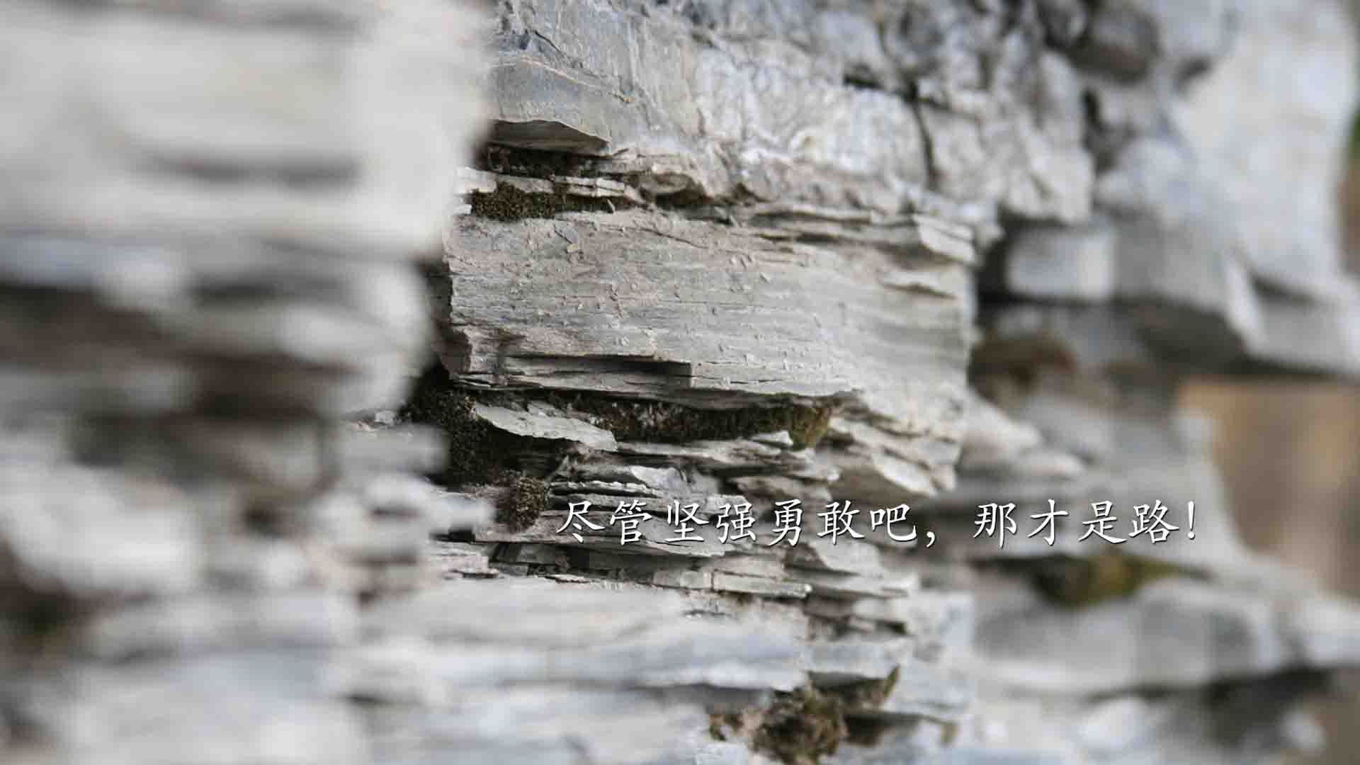 战吼与孤影,当拉齐奥掀翻非洲雄狮,凯恩已成风暴中的灵魂傀儡