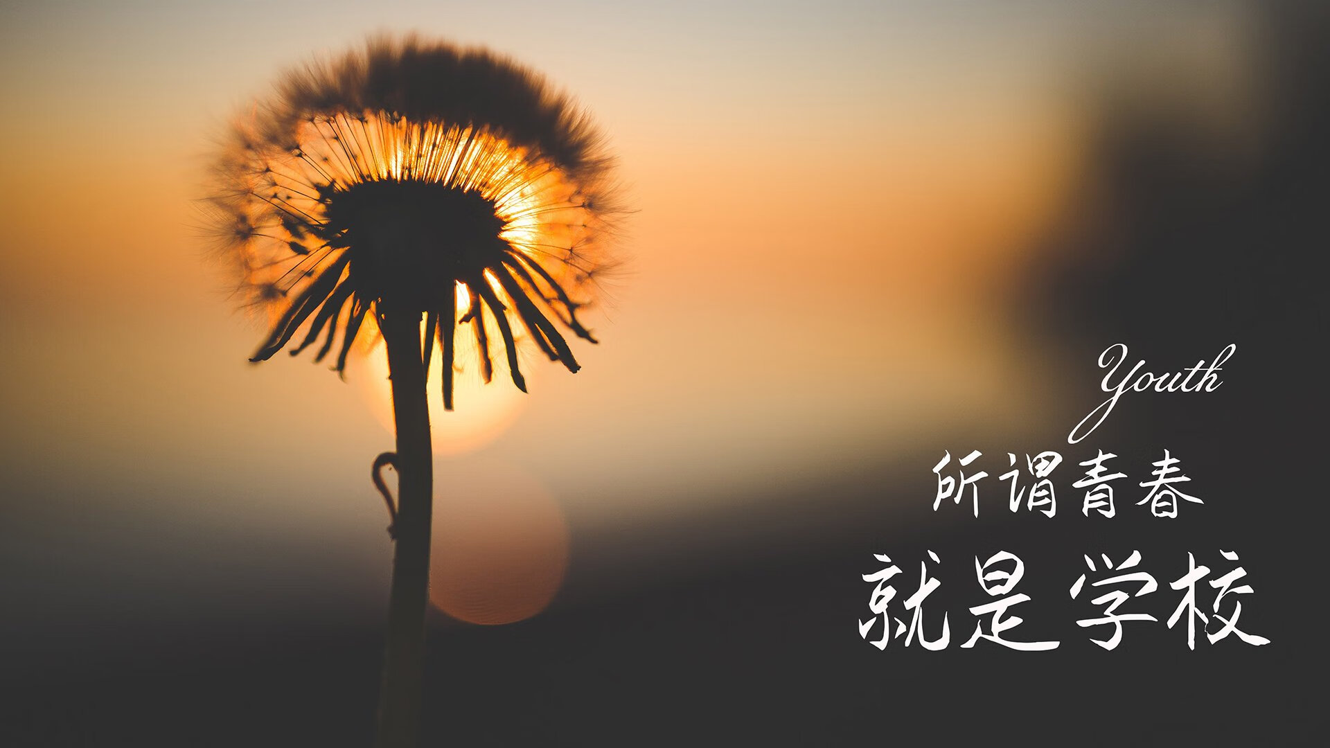 北极光下的桑巴之舞，当内马尔的唯一绝杀，为北欧战记写下不朽诗篇