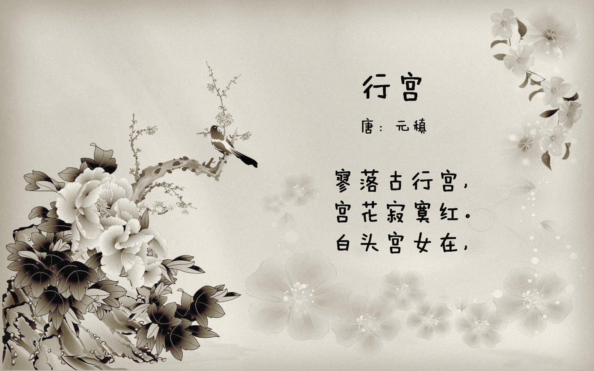 以下是为您构思的标题与文章