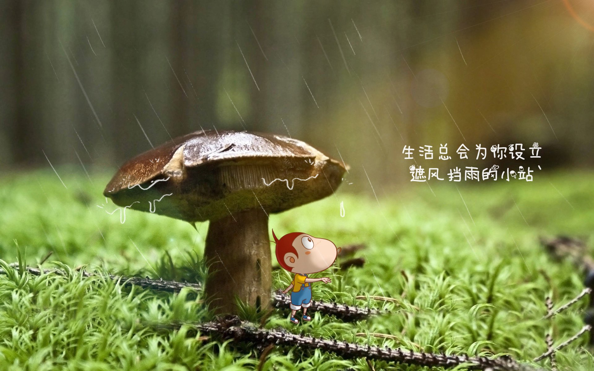 双重镜像,2026世界杯的宿命轮回,姆巴佩在荷兰与罗马尼亚的历史重演中写下新章