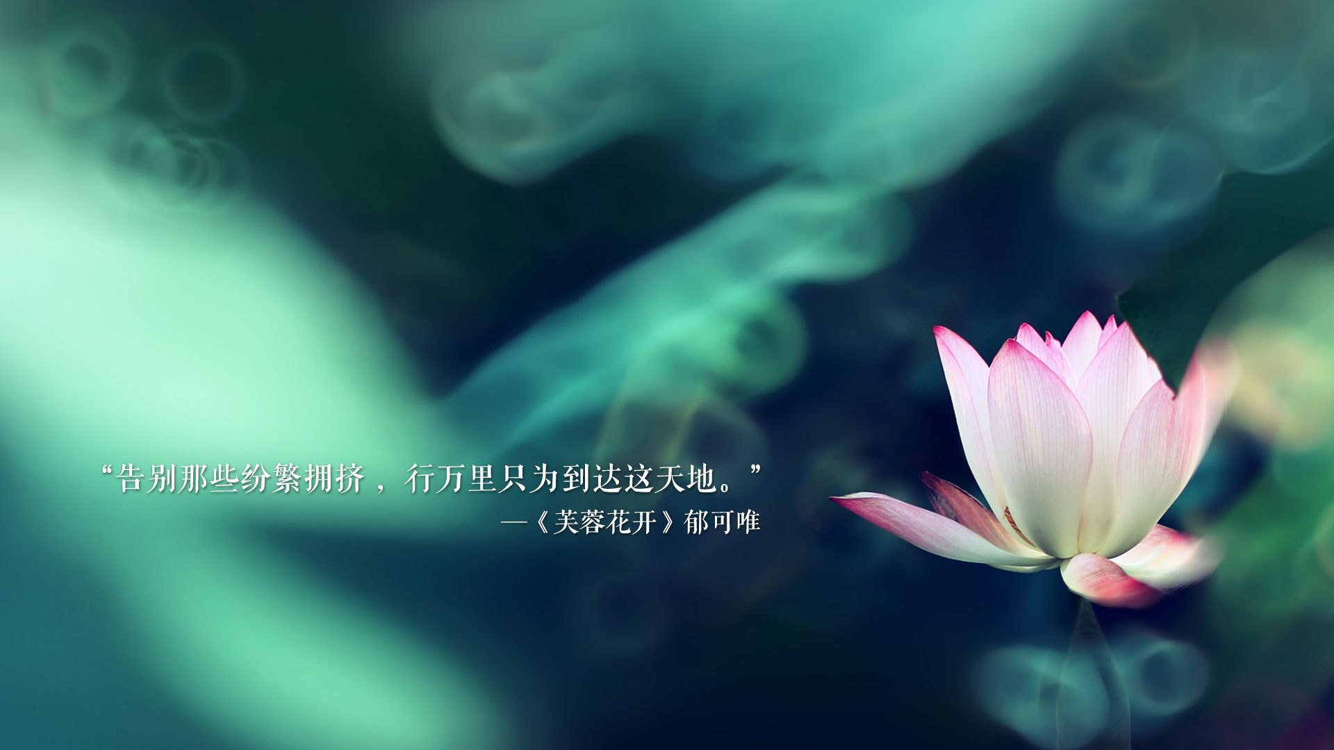 铁幕下的利刃,2026世界杯H组,法国如何用最不法国的方式,由布罗佐维奇书写唯一剧本