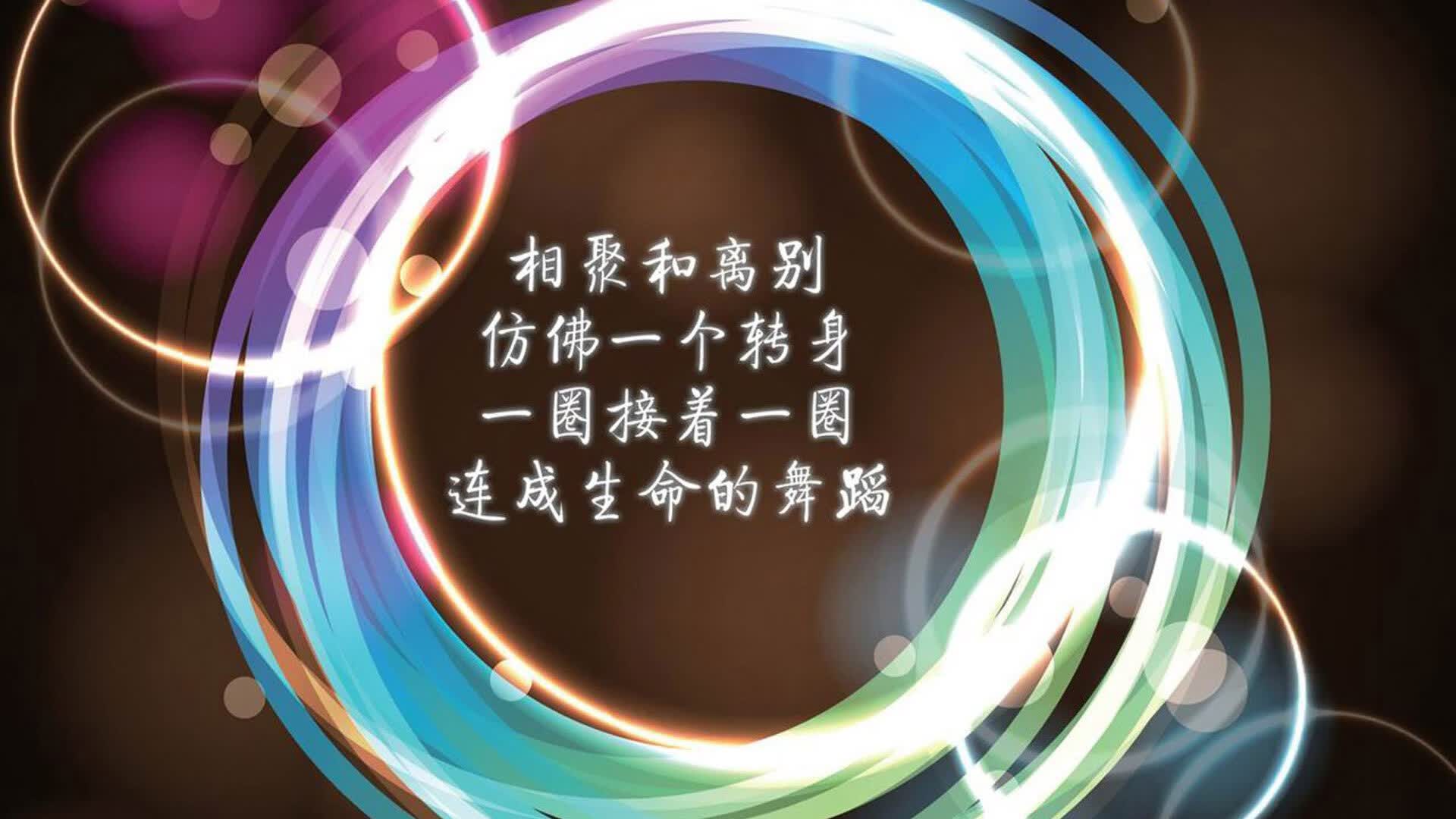 蓝衣军团的战术美学,意大利如何用防守反击撕碎日本足球的精密齿轮