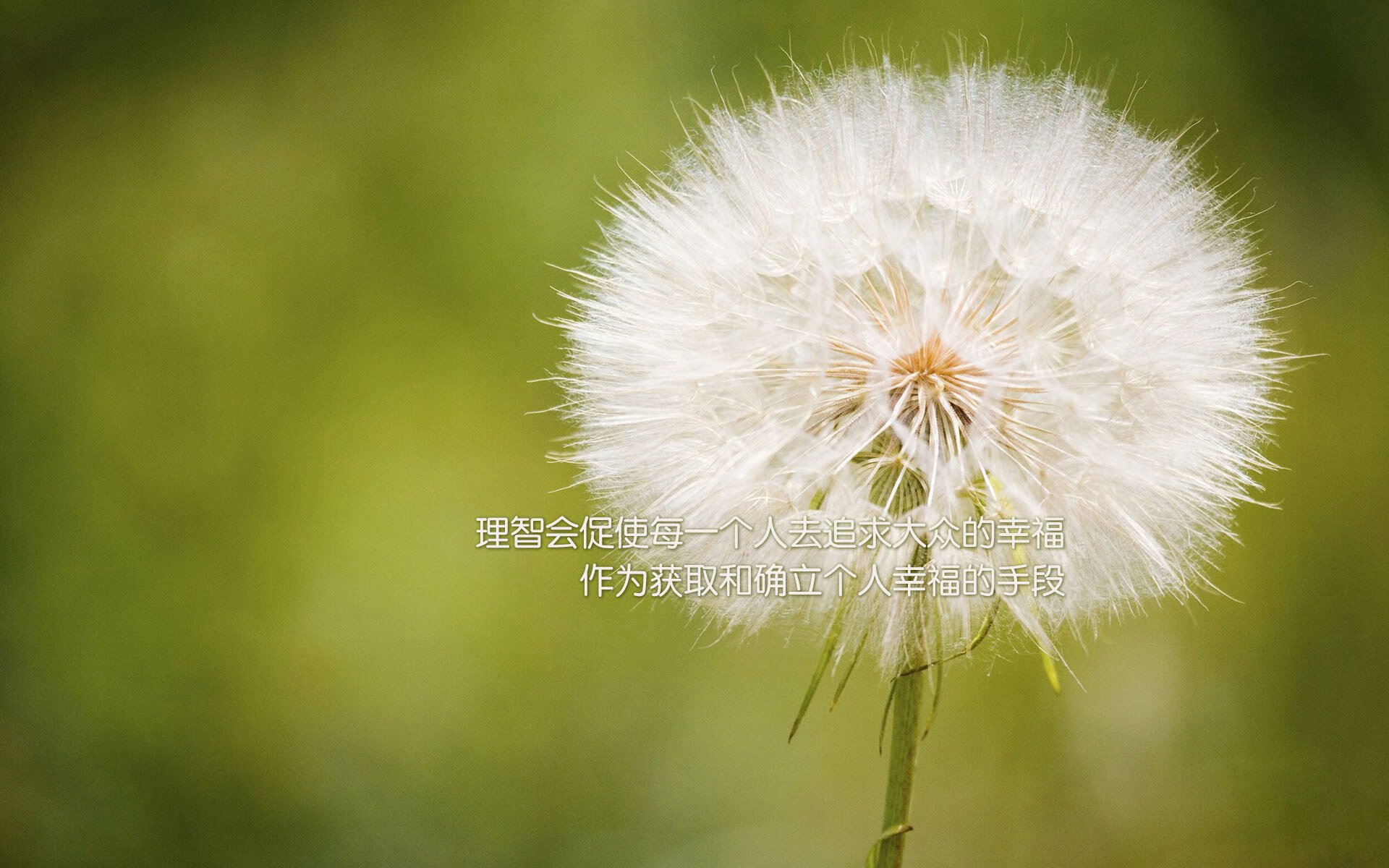 冰与火之歌,当智利的坚韧撞碎西班牙的华丽,维尼修斯用一己之力定义唯一
