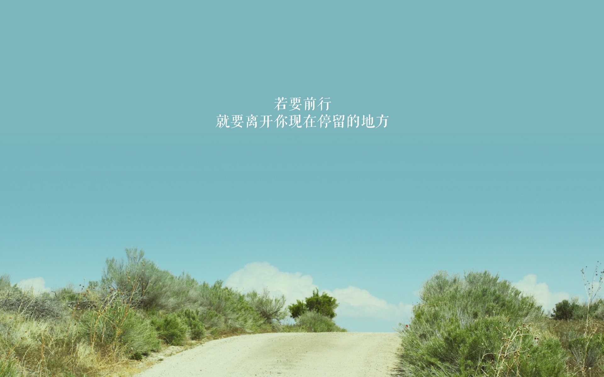 唯一铁幕,范戴克铸就的钢铁防线,如何在2026世界杯H组终结意大利横扫之梦