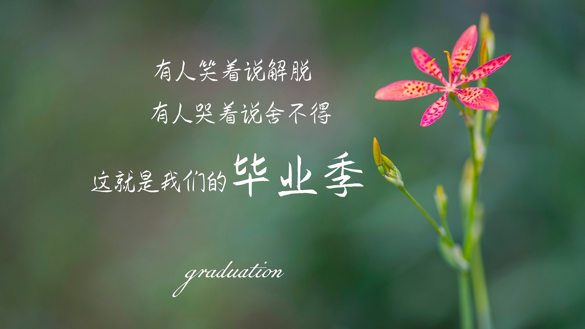 拓展