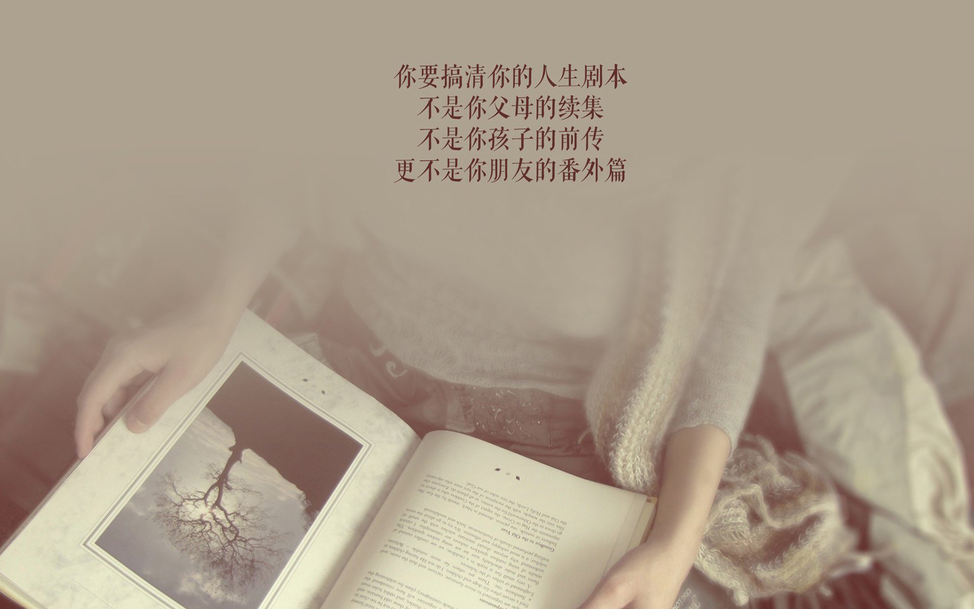 孤星,当非洲巨兽撕裂中欧铁壁,奥斯梅恩如何用一粒进球定义2026世界杯的唯一性