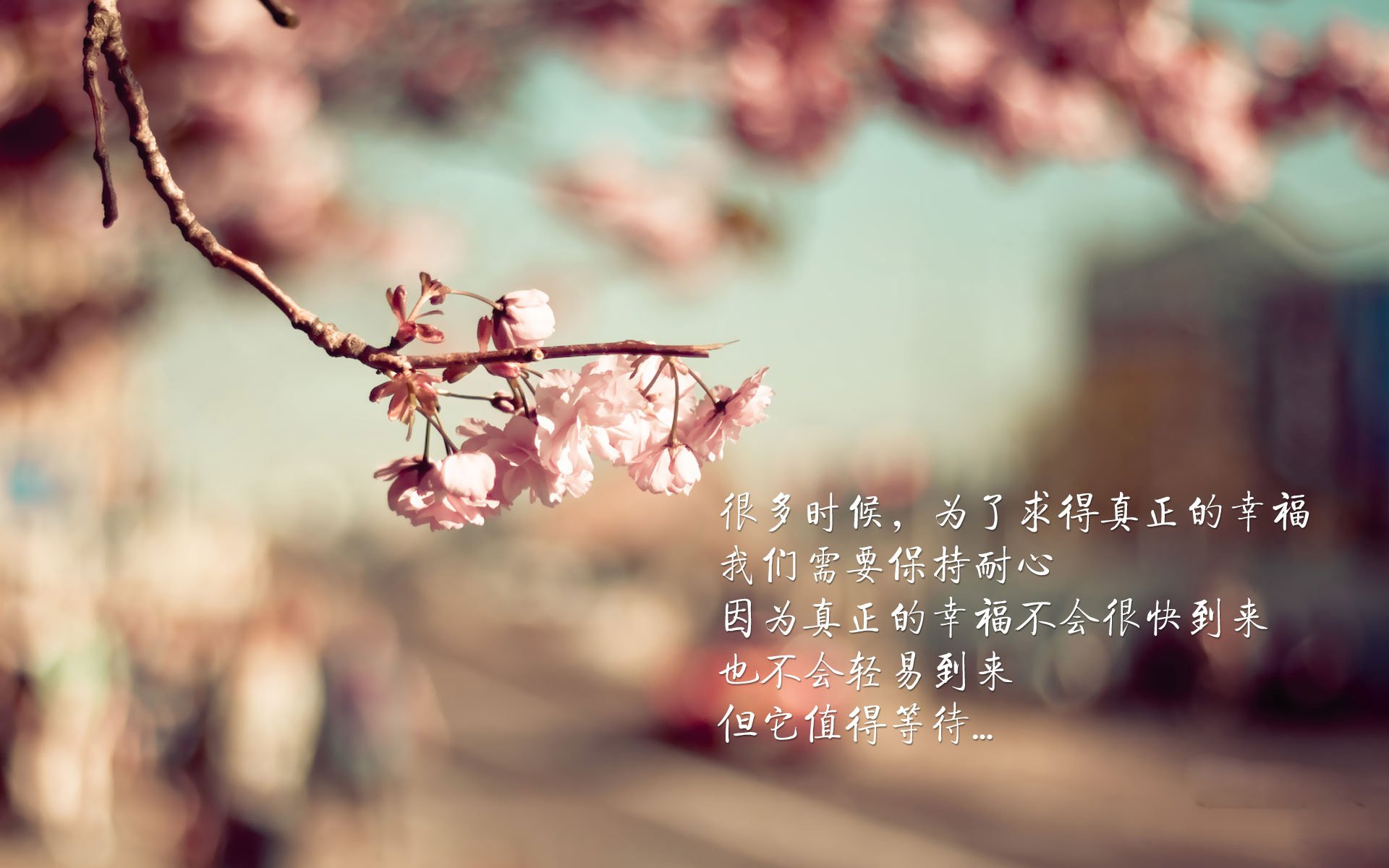 魔兽转身,卢卡库的临场魔术—2026世界杯D组西班牙2-1德国战术复盘